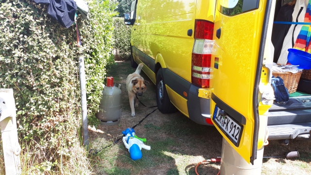 ../fotos/het_verlaat_2018/2018-07-29 13.41.21.jpg